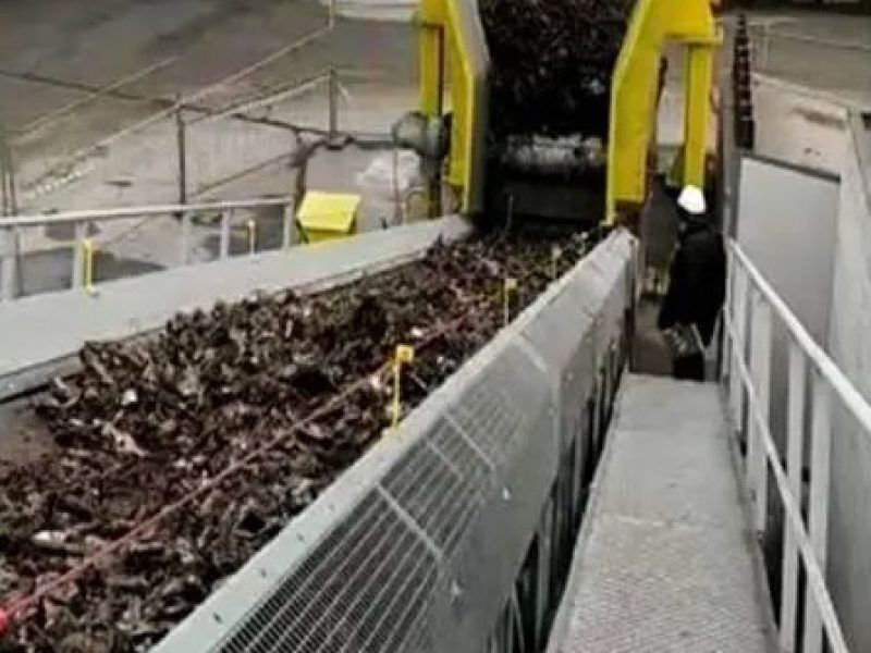Deferrizzatori